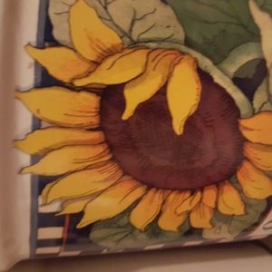 Meet your Posher, Joaquina